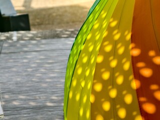 umbrella on the street