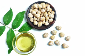 Top view of Candlenut essential oil or minyak kemiri in glass bowl. Isolated on white background with copy space. Natural ingredient for hair and scalp care. Suitable for design element, and article.