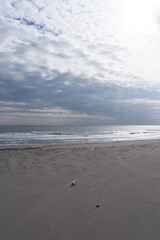 潮騒橋から見る遠州灘の千浜砂丘