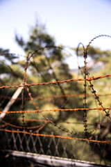 The barbed wire of the division of Korea