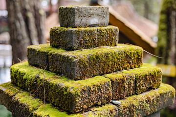 Mossy pile of brick
