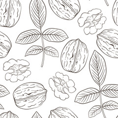 Seamless pattern of handdrawn walnuts and leaves