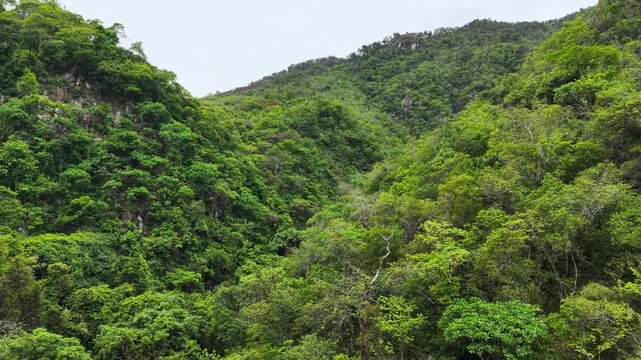 toma de dron de Monta&ntilde;as selvaticas al sur de puerto vallarta en jalisco M&eacute;xico