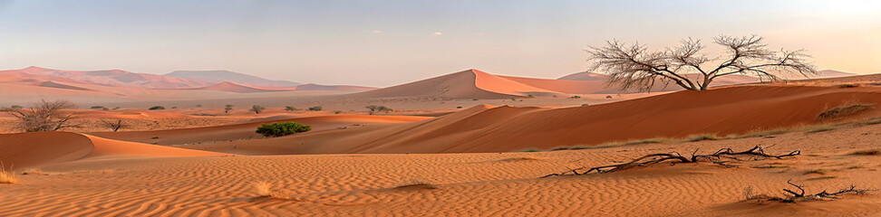 Namib desert landscape, Panoramic scene of huge red dunes under blue sky, Typical desert environment