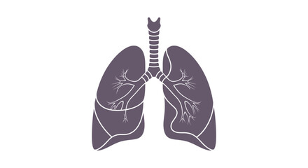 Illustration of healthy human lungs showcasing intricate airway structure for medical visualizations