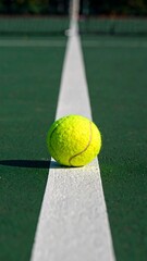 Tennis Ball on Court