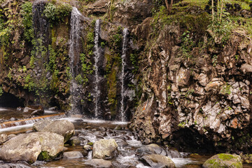 small waterfall on the mossy rock