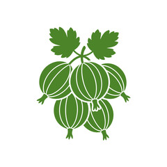 Stylized gooseberry illustration showcasing botanical simplicity and fresh graphic design