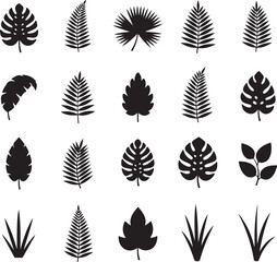 Obraz premium Exotic Leaves Silhouette Collection: A captivating array of diverse foliage, meticulously rendered in silhouette, offering a versatile visual resource for design and artistic projects.