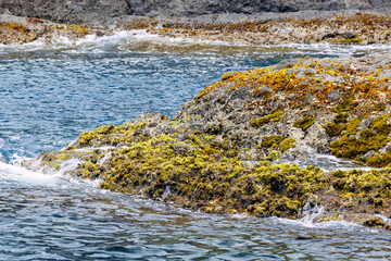 ヒリゾ浜渡船の漁船に乗って、海に出るスキンダイバー、シュノーケラーたち。
ヒリゾ浜の青い海と無人島の大根島、数多くの岩礁が見えている。
ヒリゾ浜中木南伊豆町伊豆半島静岡県2025
