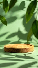 Wooden podium on a green background with leaves