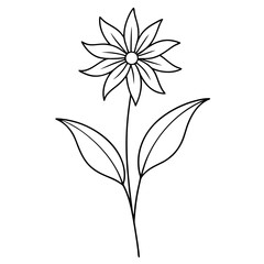 ligularia tussilaginea line art vctor 