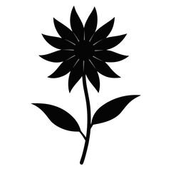 ligularia tussilaginea silhouette on white