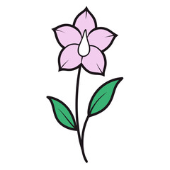  larkspur flower on white background