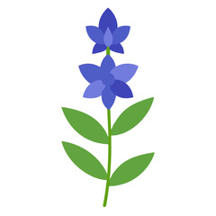  larkspur  flower vector isolated