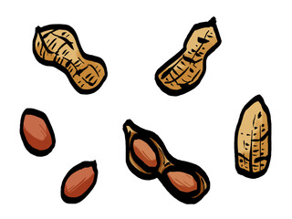 落花生のイラスト （筆タッチ・ピーナッツ） シンプル / Brush Style Peanuts Illustration