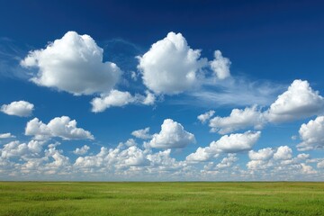 Vast, grassy plain under a brilliant blue sky dotted with puffy white clouds