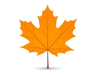 Fototapeta premium Autumn Maple Leaf Image.