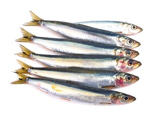 Pile of shiny, whole sardines