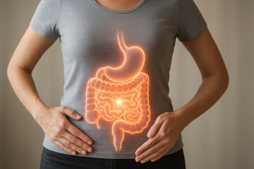 Metabolism support vitamin. Illustration of digestive system overlay on a person’s torso, emphasizing gut health.