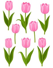 Obraz premium Pink tulips in various positions