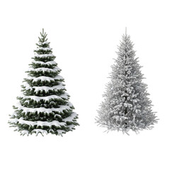Fototapeta premium Winter Holiday Tree Collection isolated on transparent background
