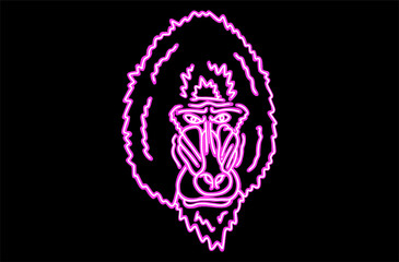 Neon Line art artwork of a Baboon monkey Head With Calm Expression