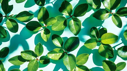 Vibrant green leaves pattern on bright turquoise background with strong shadows