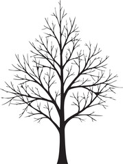 Obraz premium Detailed black silhouette of a bare deciduous tree with intricate branches isolated on white background