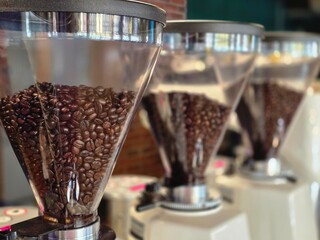 coffee grinders lined up in a café filled with glossy, dark-roasted coffee beans, in a specialty coffee shop
