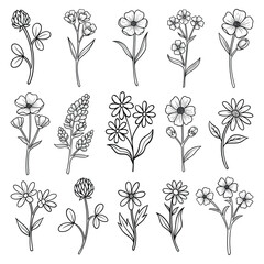 Plant hand drawn vector, set of flower branch and leaves illustration	