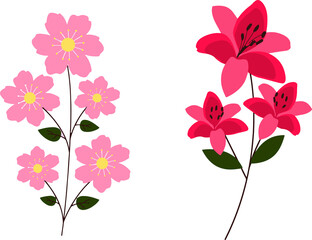 the most beautiful flowers  vector