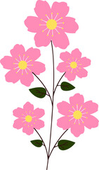 the most beautiful flowers  vector