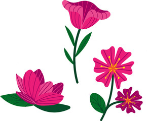 the most beautiful flowers  vector