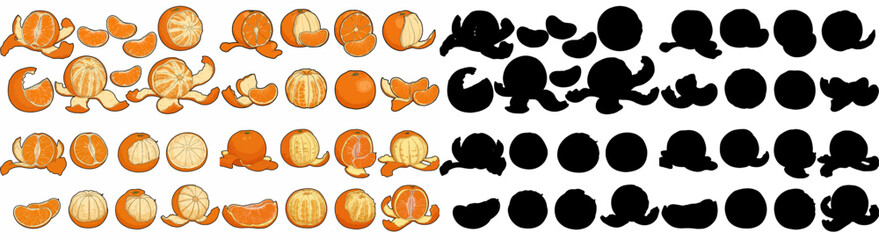 Orange slices and segments with transparent background