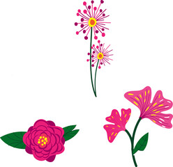 the most beautiful flowers  vector