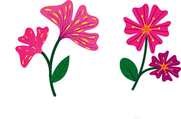 the most beautiful flowers  vector
