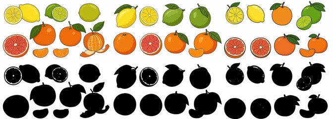 Fototapeta premium Citrus fruits collection with transparent background