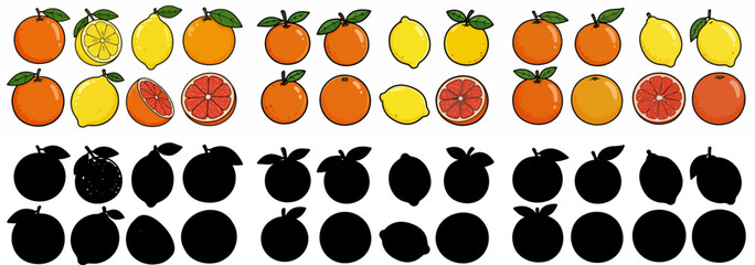Fototapeta premium Citrus fruits collection with transparent background