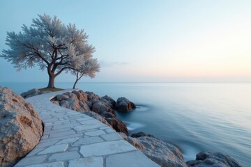 Serene Coastal Path Winding Through Rocks to a Solitary Tree by the Calm Sea at Dawn