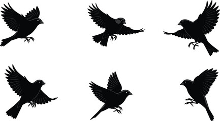 Silhouette birds flying landing set, black bird shapes isolated, flock wings spread, wildlife illustration, avian design elements, nature clipart, vector animal graphics collection