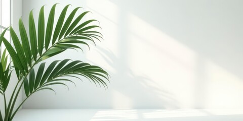 Serene Minimalist Interior with Lush Greenery and Sunlight Streaming Through a Window