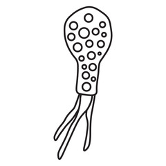 Difflugia Protozoa line icon