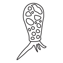 Difflugia Protozoa line icon