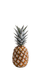 Fototapeta premium a close-up shot of a single ripe pineapple