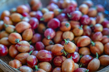 Laulima Farm Fruit Stand, The Road to Hana, Maui, Hawaii. Bunchosia argentea, known as silver peanut butter fruit, is a species of flowering plant in the acerola family, Malpighiaceae.
