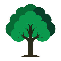 green tree isolated on white