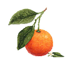 Vibrant orange fruit with green leaves and delicate white blossoms isolated on transparent background