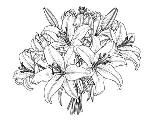 Elegant Black and White Line Art Illustration of a Bouquet of Lilies