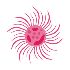 Actinophrys Protozoa